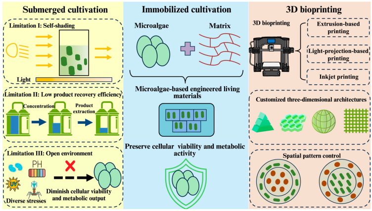 Microalgae-Based 3D Bioprinting: Recent Advances, Applications and Perspectives.