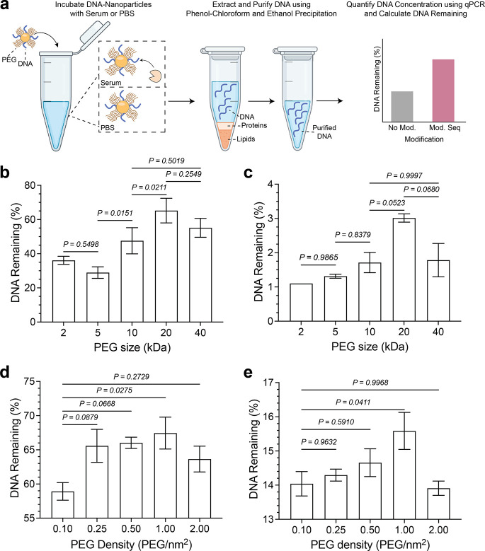 Designing Nanoparticle Surfaces with DNA Barcodes for Accurate In Vivo Quantification.