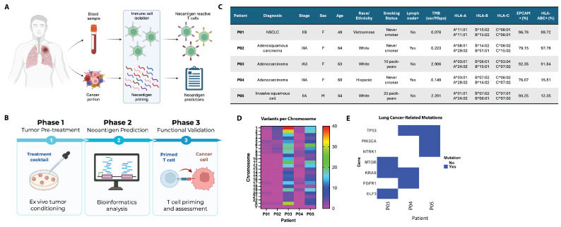ImmuniT Platform for Improved Neoantigen Prediction in Lung Cancer.