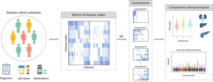 Artificial intelligence in precision medicine: transforming disease subtyping, medical imaging, and pharmacogenomics.