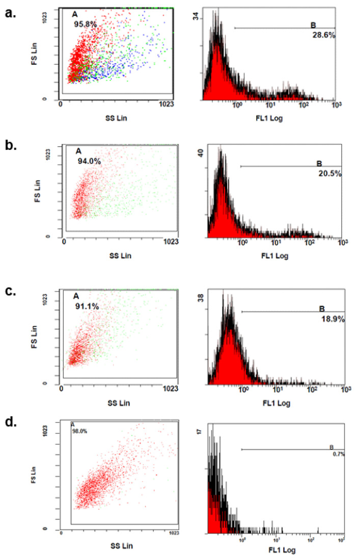 In Vitro Silencing of MHC-I in Keratinocytes by Herpesvirus US11 Protein to Model Alloreactive Suppression.