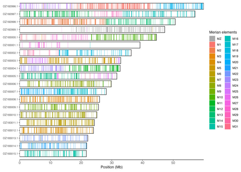 The genome sequence of the Alpine Zephyr Blue, <i>Kretania trappi</i> (Verity, 1927) (Lepidoptera: Lycaenidae).
