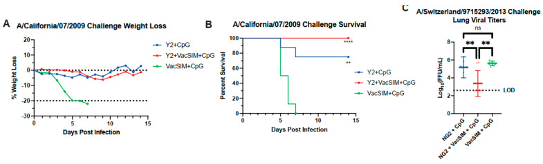 Use of the Slow-Delivery Platform, VacSIM, Shapes the Host Immune Response to Increase Protection Against Influenza Infection.