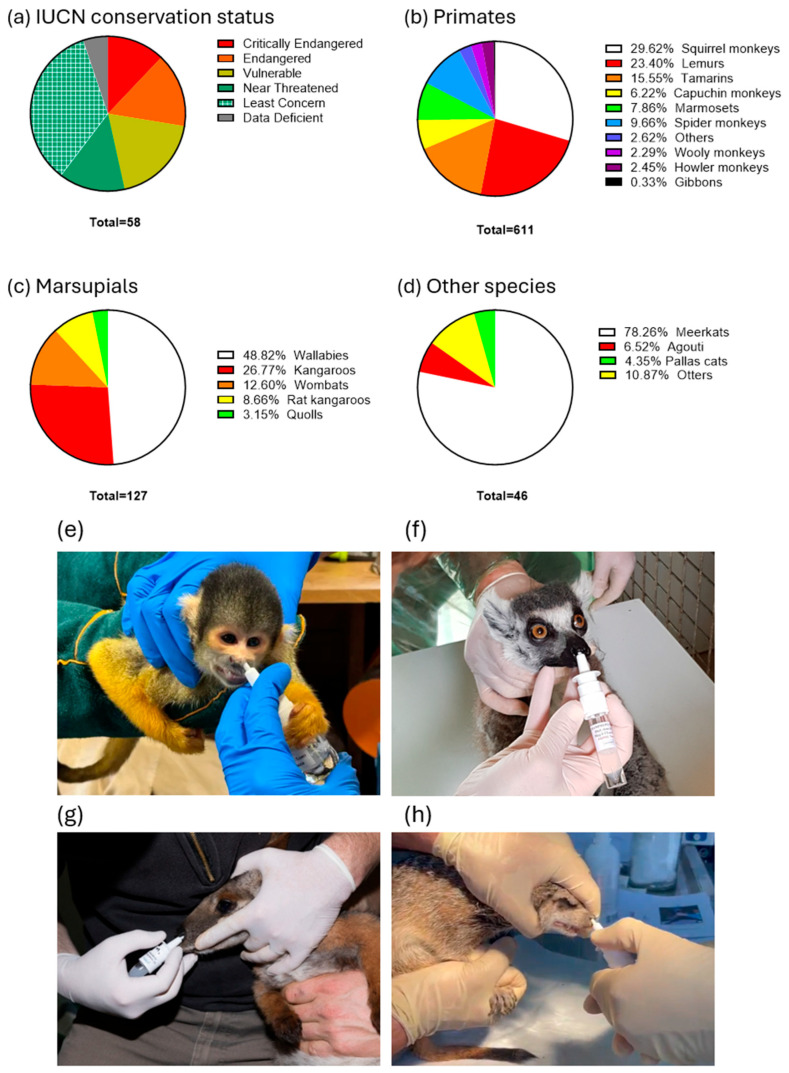 Retrospective Analysis of the Impact of Vaccination with an Inactivated Vaccine on Toxoplasmosis-Associated Mortality in Captive Wildlife.