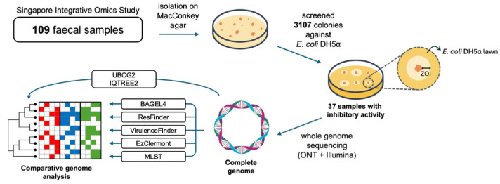 Comparative Genomics of DH5α-Inhibiting <i>Escherichia coli</i> Isolates from Feces of Healthy Individuals Reveals Common Co-Occurrence of Bacteriocin Genes with Virulence Factors and Antibiotic Resistance Genes.