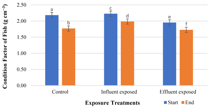 Effect of Dietary Exposure to Low-Density Polyethylene Microplastics and Their Potential Role as Estrogen Vectors In Vivo.