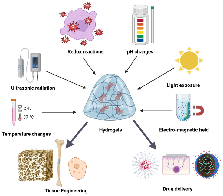 Tailoring Therapy: Hydrogels as Tunable Platforms for Regenerative Medicine and Cancer Intervention.