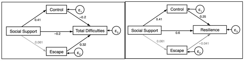 Control-Oriented and Escape-Oriented Coping: Links to Social Support and Mental Health in Early Adolescents.
