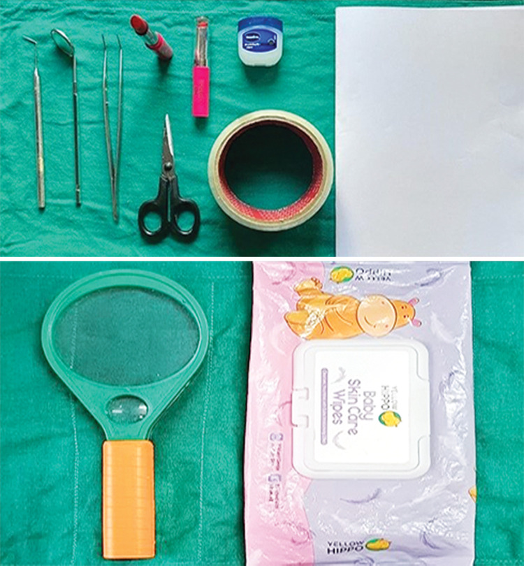 Cheiloscopy-Your Identity, Our Indicator: A Cross-sectional Study to Evaluate the Relationship between Lip Prints and Dental Caries in Children of Jammu Province.