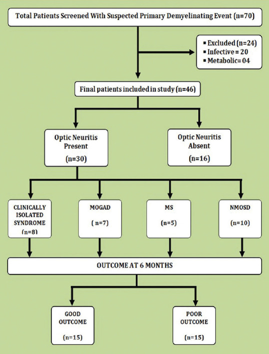 Neuroophthalmological evaluation in primary inflammatory demyelinating diseases with special reference to optic neuritis: A prospective study.