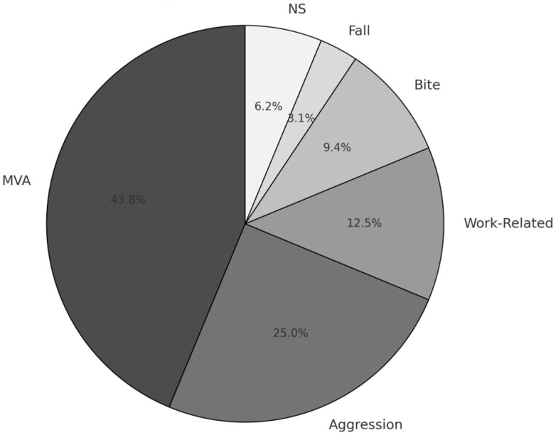 Is Simple Reimplantation a Viable Option in Pediculated Auricular Avulsions? A Systematic Review of the Literature.