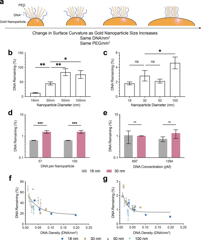 Designing Nanoparticle Surfaces with DNA Barcodes for Accurate In Vivo Quantification.