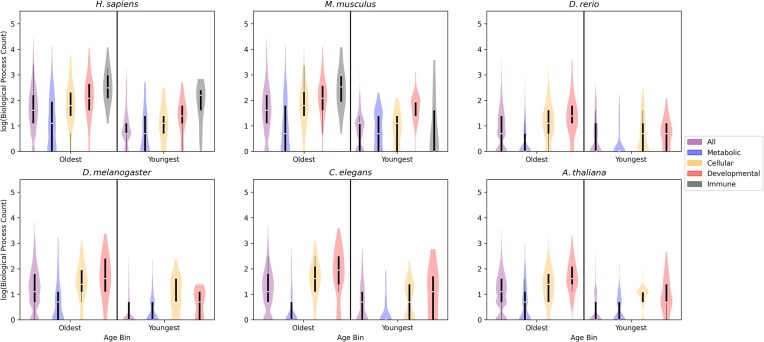 Pleiotropy increases with gene age in six model multicellular eukaryotes.