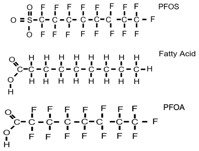 Toxicological, Chemical, Social, and Economic Challenges Associated with PFAS and Replacement Aqueous Film-Forming Foams (AFFF).