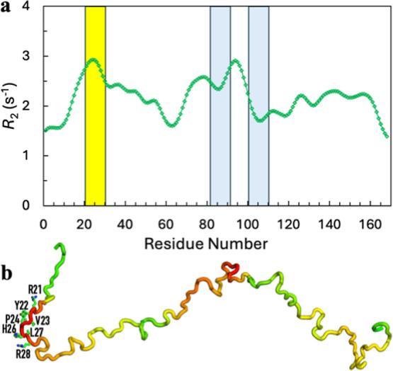 Correlated Segments of Intrinsically Disordered Proteins as Drivers of Homotypic Phase Separation.