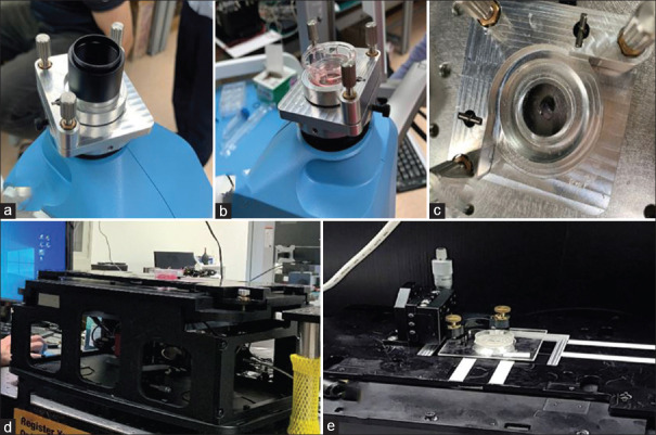 Development of a high-resolution three-dimensional optical coherence tomography for characterization of epithelial cell products for corneal cell therapy.