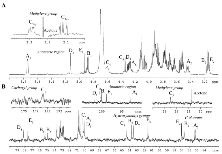 Structural and Immunological Insights into the Lipooligosaccharide of the Marine Bacterium <i>Kangiella japonica</i> KMM 3897.
