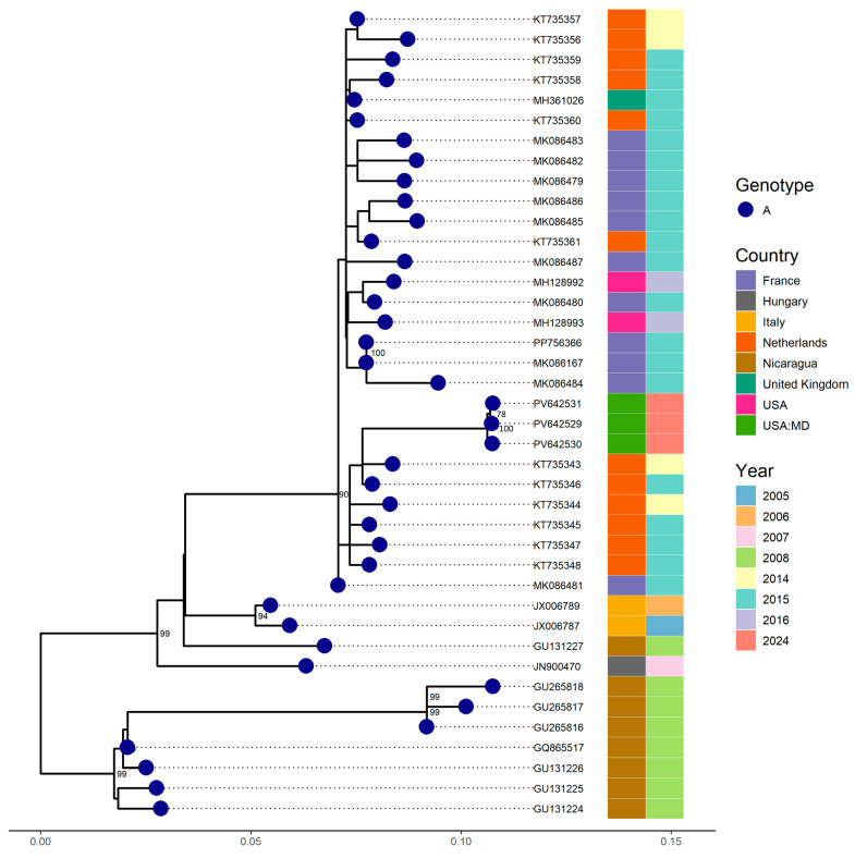 Molecular Characterization of Emerging and Uncommon Enteroviruses C104, C105, and C109 in Respiratory Samples from Maryland, USA, 2018-2024.