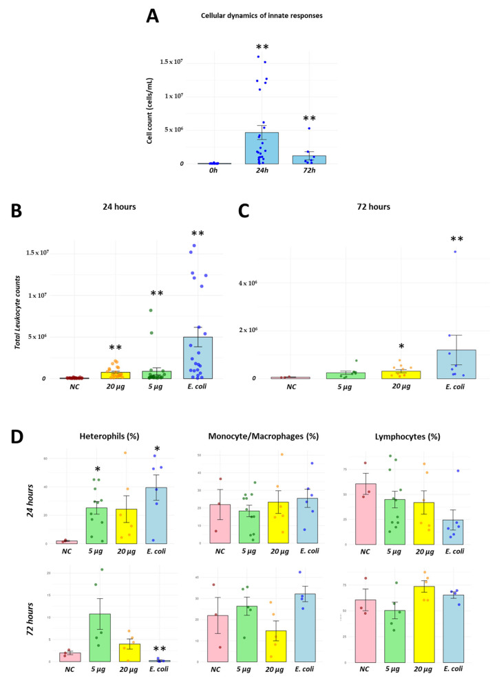 Immunogenicity of a Recombinant Avian Influenza H2 Protein Using an Abdominal Inoculation Model in Chickens.