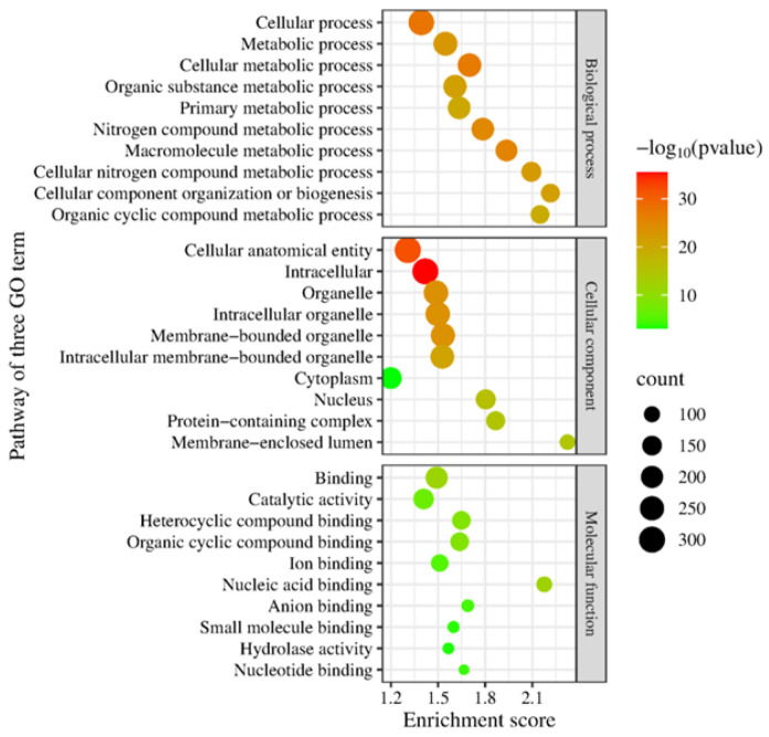 Genomic Characterization of <i>Cryptococcus neoformans</i> Isolated from Zebra Dove Excreta in Songkhla, Thailand.