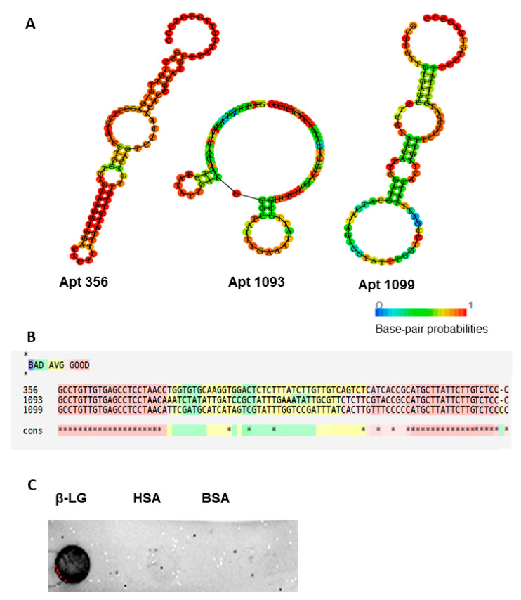 Development of a QCM-D-Based Aptasensor for the Real-Time Detection of β-Lactoglobulin.