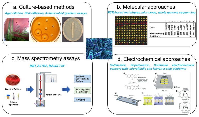 Electrochemical Biosensing for Antibiotic-Resistant Bacteria: Advances, Challenges, and Future Directions.