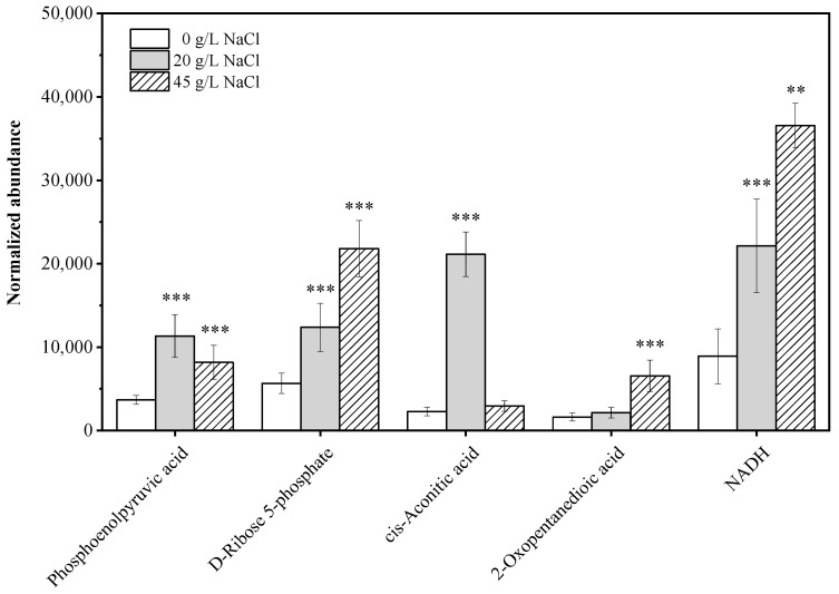 Salinity Modulates Carbon Flux to Promote Squalene and PUFA Biosynthesis in the Marine Protist <i>Thraustochytrium</i>.