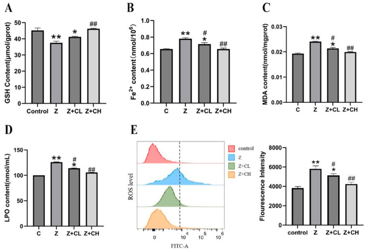 Curcumin Can Inhibit Zearalenone-Induced Ferroptosis in Porcine Intestinal Epithelial Cells via the p53/SLC7A11/GPX4 Pathway.