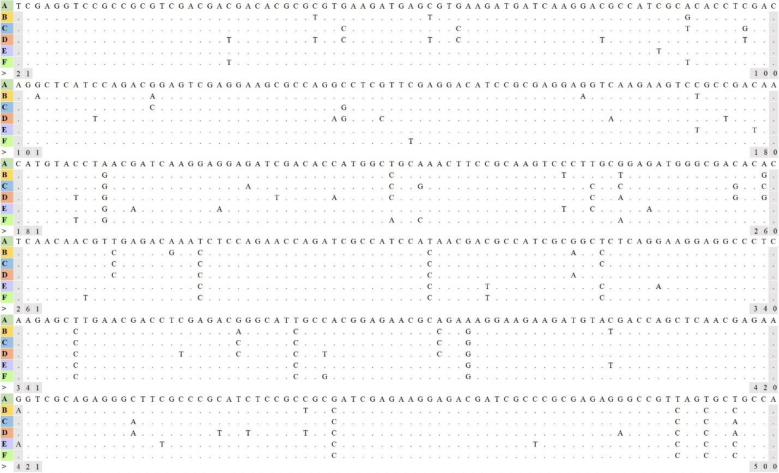 Prevalence of <i>Giardia duodenalis</i> genetic assemblages isolated from dogs and cats in Poland.