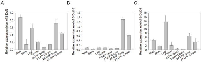 Genome Wide Identification of Sesame Dof Transcription Factors and Functional Analysis of SiDof8, SiDof10 and SiDof34 in Fatty Acid Synthesis.