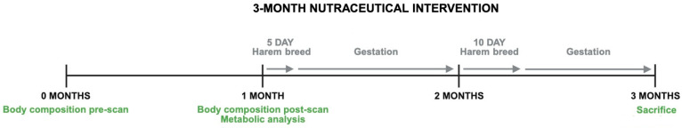 A Multi-Ingredient Supplement Improves Body Re-Composition, Ovarian Aging Markers, and Reproductive Success in Young and Middle-Aged Female Mice.