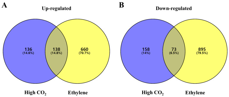 Distinct Transcriptomic Profile Underlying High CO<sub>2</sub> and Ethylene-Induced Deastringency in 'Daebong' Persimmon Fruit.