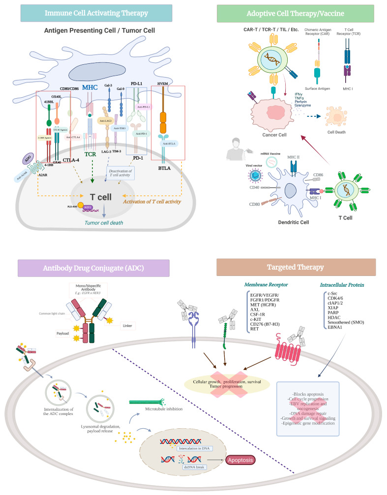 Novel Therapeutic Development for Nasopharyngeal Carcinoma.