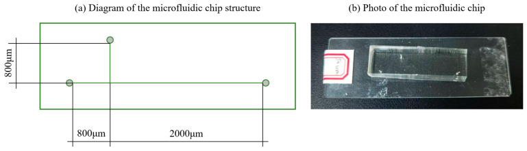 Passive Droplet Generation in T-Junction Microchannel: Experiments and Lattice Boltzmann Simulations.