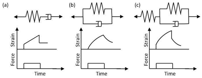 Pathophysiological Associations and Measurement Techniques of Red Blood Cell Deformability.