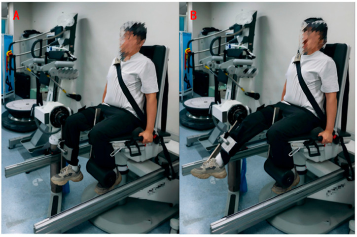 Differences in Body Composition and Lower Limb Strength Between Novice and Amateur Marathon Runners: A Cross-Sectional Study.
