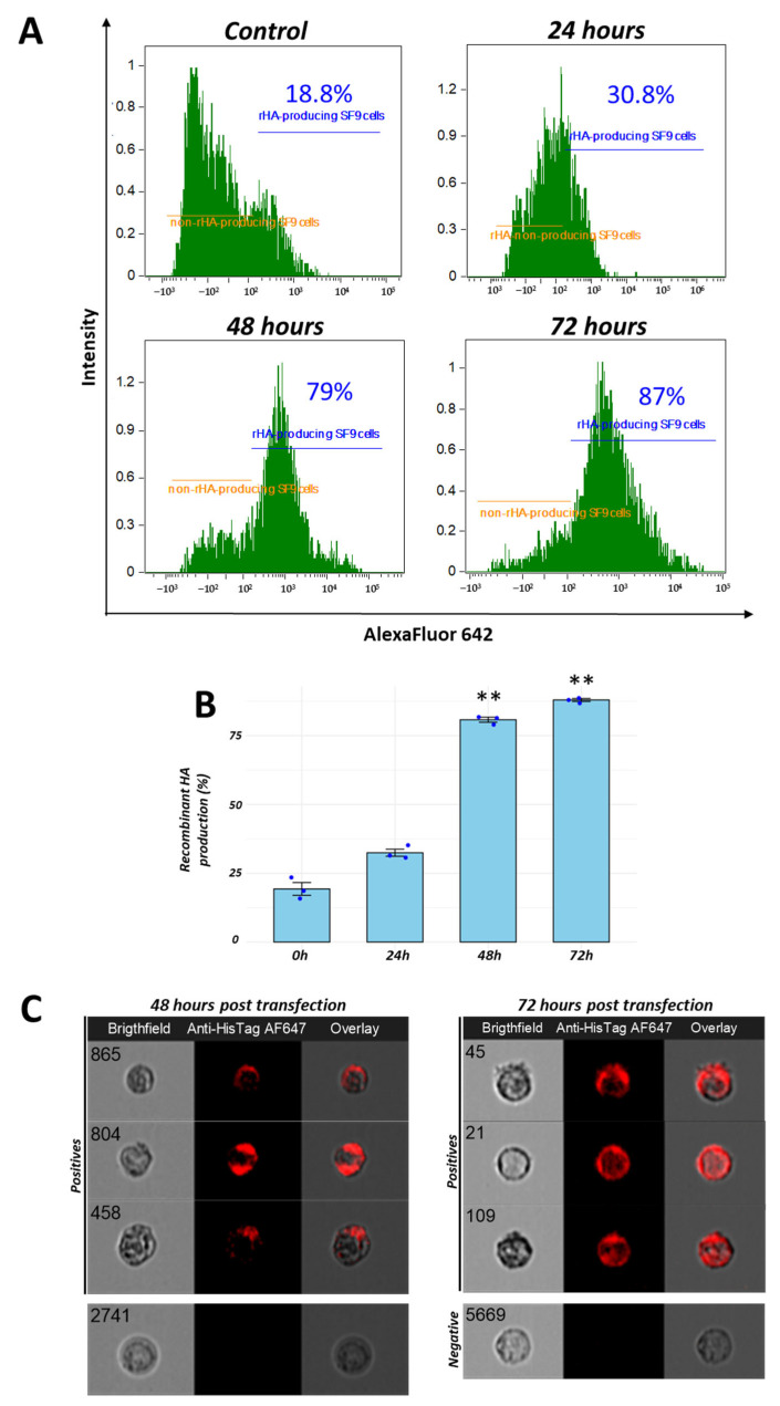 Immunogenicity of a Recombinant Avian Influenza H2 Protein Using an Abdominal Inoculation Model in Chickens.