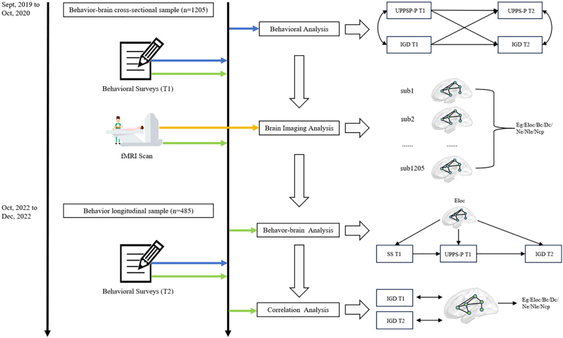 How impulsivity and sensation seeking drive IGD tendency in healthy young adults: A resting-state MRI study.