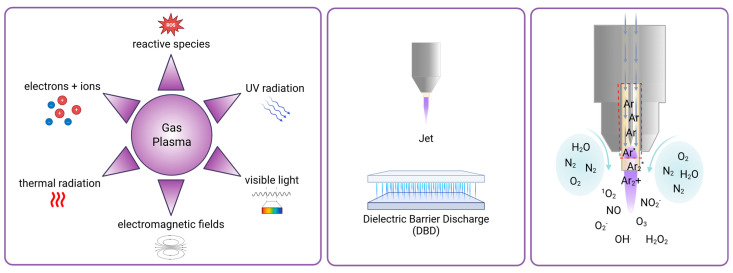 Gas Plasma Combination Therapies-Promises from Preclinical Oncology Research.
