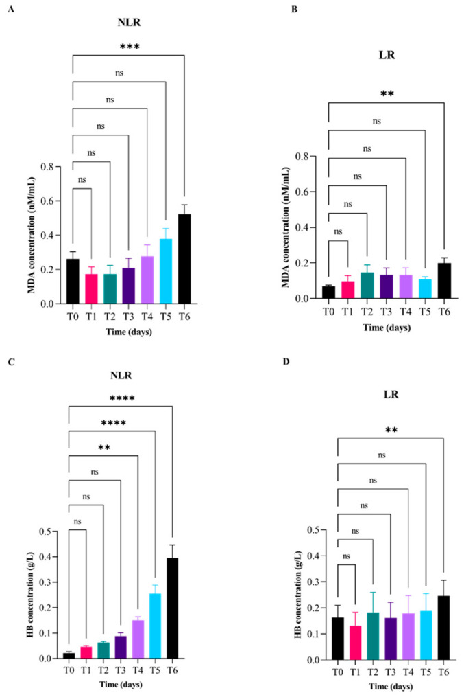 Time-Dependent Changes in Malondialdehyde and Free-Hemoglobin in Leukoreduced and Non-Leukoreduced Canine Packed Red Blood Cells Units During Storage.