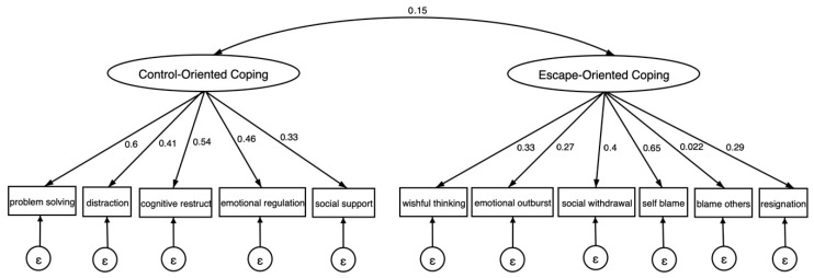 Control-Oriented and Escape-Oriented Coping: Links to Social Support and Mental Health in Early Adolescents.