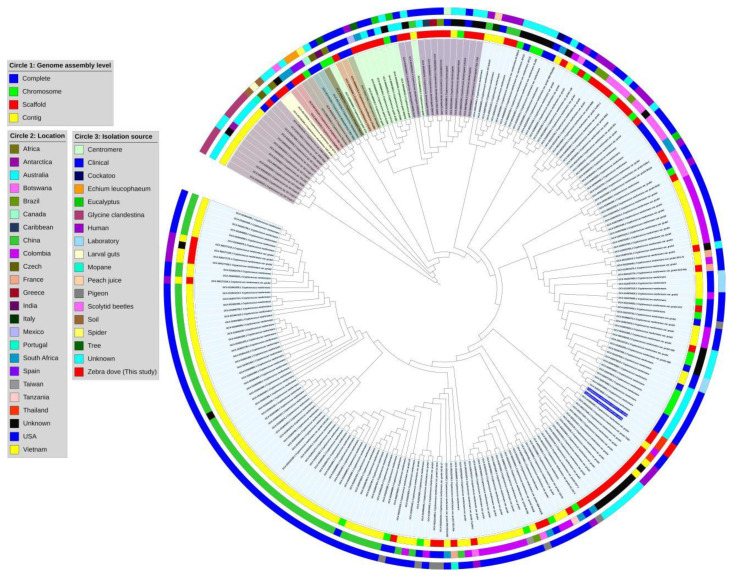 Genomic Characterization of <i>Cryptococcus neoformans</i> Isolated from Zebra Dove Excreta in Songkhla, Thailand.