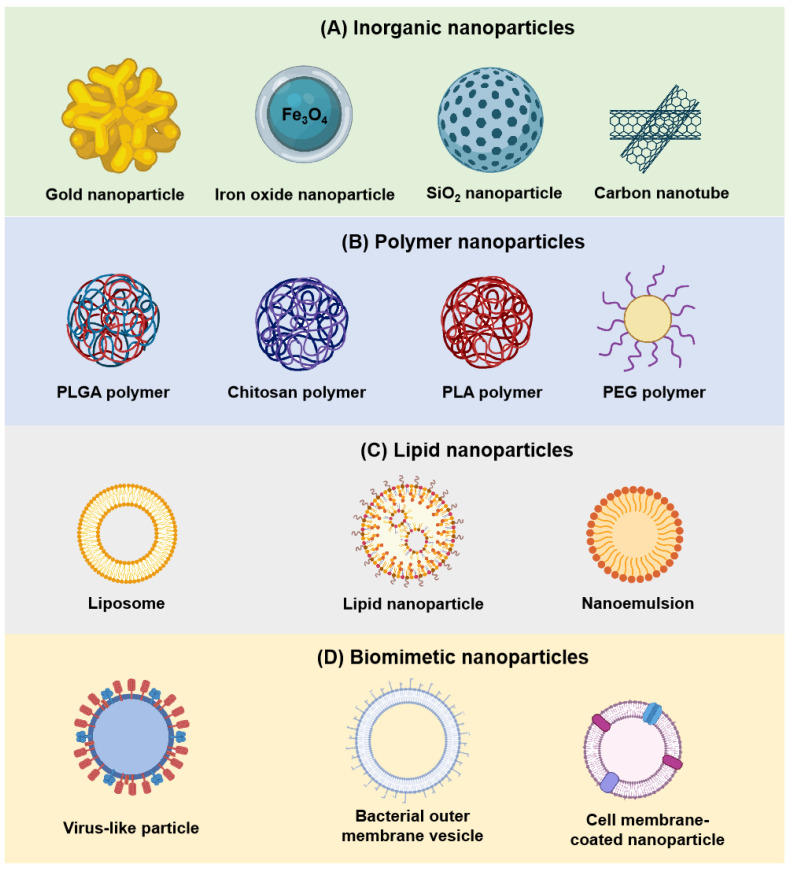 Nanovaccines: Innovative Advances from Design Strategies to Clinical Translation.