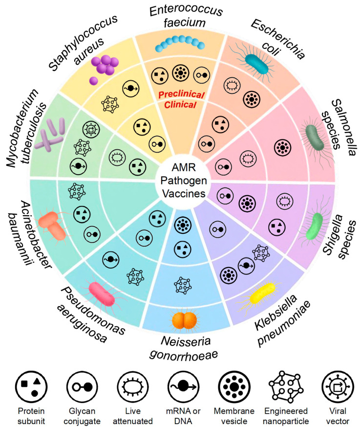 The Central Importance of Vaccines to Mitigate the Threat of Antibiotic-Resistant Bacterial Pathogens.