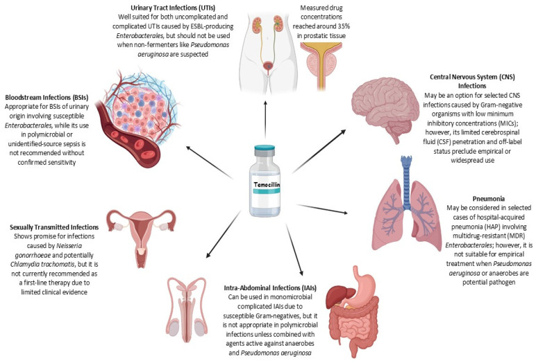 Temocillin: A Narrative Review of Its Clinical Reappraisal.