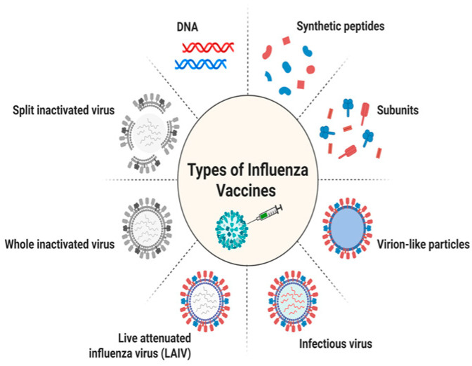 Influenza Virus: Global Health Impact, Strategies, Challenges, Role of Nanotechnolgy in Influenza Vaccine Development.