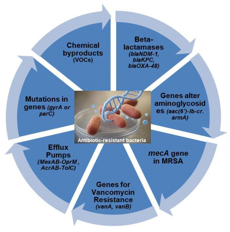 Electrochemical Biosensing for Antibiotic-Resistant Bacteria: Advances, Challenges, and Future Directions.