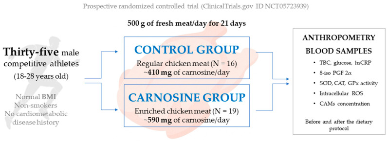 Antioxidant Effects of Carnosine-Enriched Chicken Meat Consumption in Athletes: Modulation of SOD Activity and Superoxide Levels-A Randomized Control Trial.