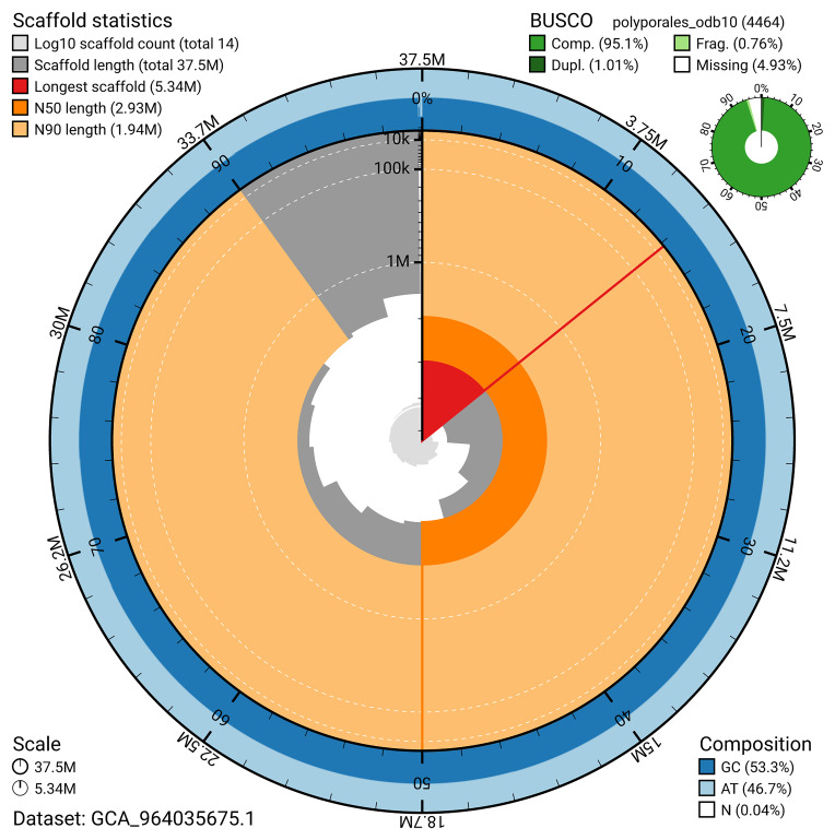 The genome sequence of the Oak Polypore, <i>Buglossoporus quercinus</i> (Schrad.) Kotl. & Pouzar.