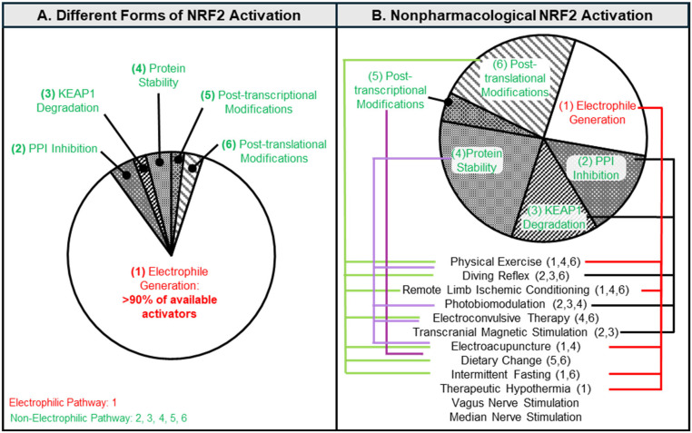Non-Electrophilic Activation of NRF2 in Neurological Disorders: Therapeutic Promise of Non-Pharmacological Strategies.